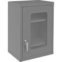 Armoire de rangement murale avec portes transparentes, 26-15/16" h x 18-1/8" la x 13-11/16" p, 2 tablettes, Acier, Gris Duraquip Inc