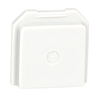 BW Gas Detector Dummy Sensor for Toxic Location Duraquip Inc