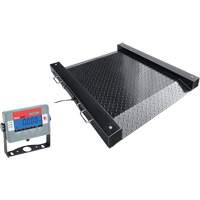 DEFENDER Floor Scale, 1000 lbs. Capacity, 30" L x 30" W Duraquip Inc