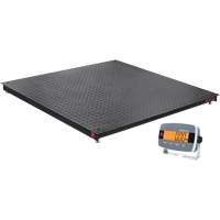 DEFENDER 3000 Floor Scale, 2500 lbs. Capacity, 48" W x 48" L Duraquip Inc