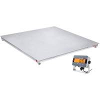 DEFENDER 3000 Floor Scale, 2500 lbs. Capacity, 48" W x 48" L Duraquip Inc