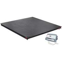 DEFENDER 5000 Floor Scale, 2500 lbs. Capacity, 48" W x 48" L Duraquip Inc
