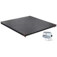 DEFENDER 5000 Floor Scale, 5000 lbs. Capacity, 48" W x 48" L Duraquip Inc