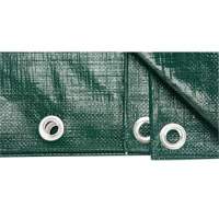 B&acirc;che, Robuste, Vert, 8' x 6' x 9 mils Duraquip Inc