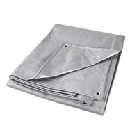 B&acirc;che, Super robuste, Argent, 10' x 8' x 12 mils Duraquip Inc