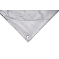 B&acirc;che, Super robuste, Argent, 10' x 8' x 12 mils Duraquip Inc
