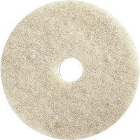 Tampons pour l'entretien des planchers, 21", Brunissage, Brun Duraquip Inc