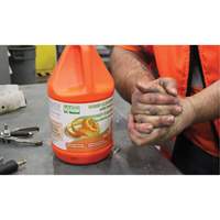 Nettoyant pour les mains à l'orange, Pierre ponce, 3,6 L, Cruche, Orange JG223 | Duraquip Inc