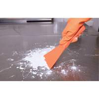 Large Hand Scraper, Pink, 4" W x 10" L Duraquip Inc