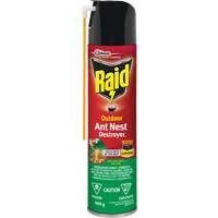 Insecticide destructeur de nids de fourmis Raid<sup>MD</sup> Extérieur, 400 g, Canette aérosol JM262 | Duraquip Inc