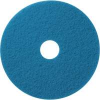 Floor Pads, 12", Cleaning/Scrubbing, Blue Duraquip Inc