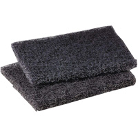 Tampon de polissage pour plaque de cuisson Scotch-Brite, 4" lo x 5" la Duraquip Inc