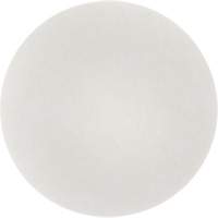 Tampon de nettoyage pour tapis, 19", Nettoyage, Blanc Duraquip Inc