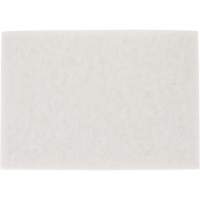 Tampon pour planchers TopLine Speed, 14" x 20", Lustrage/Nettoyage/Polissage, Blanc Duraquip Inc