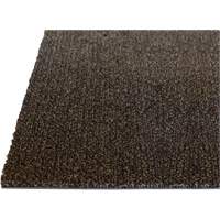 Tapis dint&eacute;rieur Palliser, Essuie-pieds/grattoir, 3-1/2' x 6' x 5/16", Anglis Duraquip Inc
