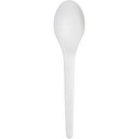 Plantware Renewable and Compostable Spoon Duraquip Inc