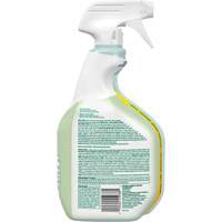 Nettoyant d&eacute;sinfectant CloroxPro Clorox EcoClean, 946 ml, Bouteille &agrave; g&acirc;chette Duraquip Inc