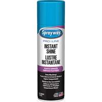 Pro Line Instant Shine for Plastic Surfaces, 11 oz., Aerosol Can Duraquip Inc