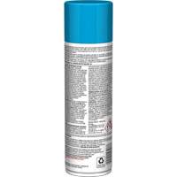 Pro Line Instant Shine for Plastic Surfaces, 11 oz., Aerosol Can Duraquip Inc