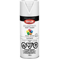 Appr&ecirc;t + peinture COLORmaxx, Blanc, Tr&egrave;s mat, 12 oz, Canette a&eacute;rosol Duraquip Inc