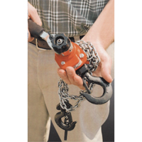 Series 602 Mini Ratchet Lever Hoist, 5' Lift, 550 lbs. (0.275 tons) Capacity, Steel Chain Duraquip Inc
