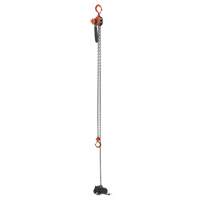 Mini Lever Hoist, 15' Lift, 500 lbs. (0.25 tons) Capacity, Steel Chain Duraquip Inc