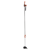 Mini Lever Hoist, 15' Lift, 500 lbs. (0.25 tons) Capacity, Steel Chain Duraquip Inc