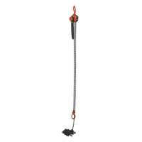 Mini Lever Hoist, 15' Lift, 1000 lbs. (0.5 tons) Capacity, Steel Chain Duraquip Inc