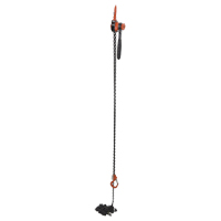 Mini Lever Hoist, 20' Lift, 1000 lbs. (0.5 tons) Capacity, Steel Chain Duraquip Inc