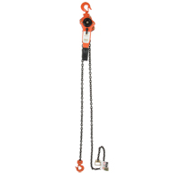 Lever Chain Hoist, 5' Lift, 3000 lbs. (1.5 tons) Capacity, Alloy Steel Chain Duraquip Inc