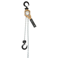 Heavy Duty Gold Series Lever Chain Hoist, 10' Lift, 500 lbs. (0.25 tons) Capacity, Alloy Steel Chain Duraquip Inc