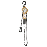 Heavy Duty Gold Series Lever Chain Hoist, 5' Lift, 1500 lbs. (0.75 tons) Capacity, Alloy Steel Chain Duraquip Inc