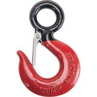 Black Eye&reg; Wire Rope Hoist Hook Duraquip Inc