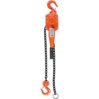 Lever Hoist, 10' Lift, 1500 lbs. (0.75 tons) Capacity, Alloy Steel Chain Duraquip Inc