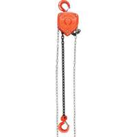 Chain Hoist, 10' Lift, 10000 lbs. (5 tons) Capacity, Alloy Steel Chain Duraquip Inc