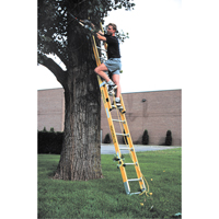 Industrial Heavy-Duty Extension Ladders (6200 Series), 375 lbs. Cap., 13' H, Grade 1AA Duraquip Inc