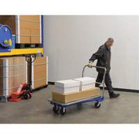 Platform Cart, 48" L x 24" W, 1500 lbs. Capacity, Mold-on Rubber Casters Duraquip Inc