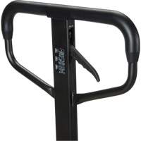 Quick-Lift Manual Pallet Truck, Steel, 48" L x 20.5" W, 5500 lbs. Capacity Duraquip Inc