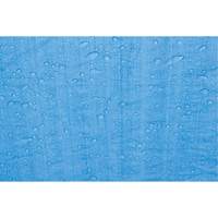 B&acirc;che, Standard, Bleu, 7' x 5' x 4 mils Duraquip Inc
