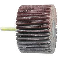 Disque &agrave; lamelles mont&eacute; sur mandrin, Grain 60, 1-1/2" x 1/4" Duraquip Inc