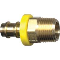 Grip-Tite Male Pipe Hose Fitting, 1/4" x 1/4" Dia, Brass Duraquip Inc