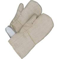 Gander Brand Mitt, Fibreglass, One Size, Protects Up To 608° F (320° C ) Duraquip Inc