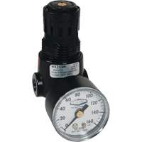 R&eacute;gulateur miniature R04 Wilkerson, 1/4" NPT, PSI max. de 300 psi, Standard Duraquip Inc