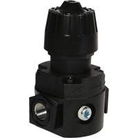 R&eacute;gulateur compact R16 Wilkerson, 1/4" NPT, PSI max. de 300 psi, Standard Duraquip Inc