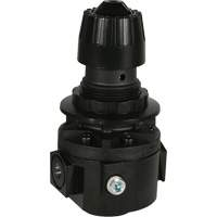 R&eacute;gulateur Wilkerson R26, 3/8" NPT, PSI max. de 300 psi, Standard Duraquip Inc