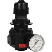 R&eacute;gulateur Wilkerson R26, 1/2" NPT, PSI max. de 300 psi, Standard Duraquip Inc