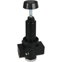 R&eacute;gulateur &agrave; d&eacute;bit &eacute;lev&eacute; R30 Wilkerson, 3/4" NPT, PSI max. de 300 psi, Standard Duraquip Inc
