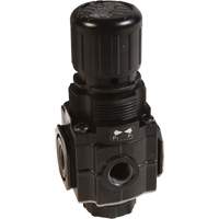 Series 1 Manifold Regulator, 1/4" NPT, 150 PSI Max. PSI, Standard Duraquip Inc