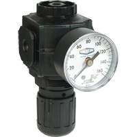 Series 1 Compact Regulator, 1/2" NPT, 150 PSI Max. PSI, Standard Duraquip Inc