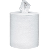 Scott<sup>®</sup> Essential Paper Towels, 2 Ply, Centre Pull, 625' L NJI990 | Duraquip Inc